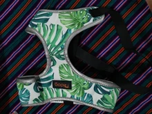 Arnés de Bulldog Francés transpirable para perros pequeños y medianos, chaleco para gatos, entrenamiento para caminar