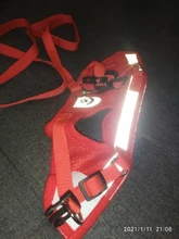 Vest Leash-Set Harness-Leads Puppy Yorkies Reflective Kitten Small Dogs Nylon Mesh And