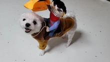 Novelty Halloween Dog Costumes Pet Clothes Cowboy Dressing up Jacket Coats for Dogs Funny
