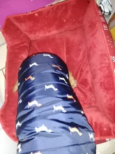 Pet Dog Winter Coat Small Dog Clothes Warm Dog Jacket Puppy Outfit Dog Coat Chihuahua