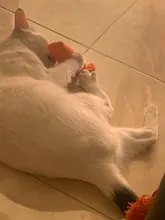 Cat Toy Catnip-Toys Claws Mint Grinding Pet-Kitten Interactive Plush Funny for Thumb-Bite-Cat