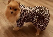 Abrigo con tutú y estampado de leopardo para perros y cachorros ropa de invierno con capucha, chaqueta reversible para perros pequeños