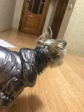 Ropa de abrigo para Perros Bulldog Francés, Ropa de cachorro, Chihuahua, yorkie, abrigo de perrito mascota, chaqueta, perros, mascotas