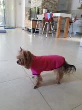 Coat-Jackets Fleece Vest Pug-Costumes Dogs French-Bulldog Chihuahua Winter Small Medium