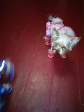 4 unids/set zapatos para perros de invierno de perro caliente botas de nieve zapatos de cuero de la PU para perros pequeños perros Chihuahua impermeable antideslizante cachorro para mascotas zapatos