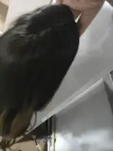 Pequeña LANA sintético Ombre negro marrón de oro con pelucas con reflejos largo ondulado resistente al calor de la parte media Cosplay pelucas para mujeres