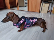 Puppy Vest Coat Clothing Jacket Dogs Chihuahua Waterproof Large Winter Medium Pet-Dog