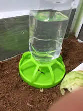 Nuevo reptil bebedor de agua dispensador comida lagarto de plato redondo de la botella de la bebida