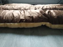 Benepaw Thick Pet Beds For Dogs Washable Soft Medium Large Big Dog Bed House Removable