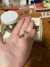 YuenZ 100 Uds Estilos mixtos animal de corazón clave corona encantos colgantes de la joyería de DIY para fabricación de collares y pulseras accesorios U050