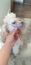 Bozal transpirable Para perros y gatos, mascarilla antimordeduras, máscara Para la boca Para gatitos y mascotas, bozal Para limpieza de baños de gatos, herramienta Para Gat