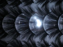 SEXYSHEEP-pestañas postizas de visón 3D, pestañas largas y esponjosas hechas a mano, Kit de maquillaje de extensión de ojos Natural, 5/8/12/20 pares