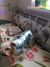 Ropa para perros grandes, chaleco impermeable para perros grandes, chaqueta de otoño e invierno, abrigo para perros cálidos, ropa para perros, Chihuahua Labrador S-7XL