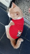 Ropa de verano para mascotas, Camiseta con estampado de flamenco para perro, chaleco para perros pequeños y medianos, accesorios para mascotas, chaleco para gatos, camisas, XS-2XL