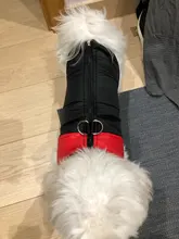 Ropa de invierno para perros, chaleco con cremallera cálido, acolchado e impermeable para mascotas, Carlino y Chihuahua pequeños y medianos
