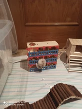 Hamster Maze Wooden Tube Tunnel Cage Seesaw House Swing Small Animals Pet Toys