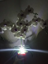 Led-Bulb Silicone-Lamp 360-Degree G4 White/white 12V/AC220V 10pcs 2W 3014 Angle 24led