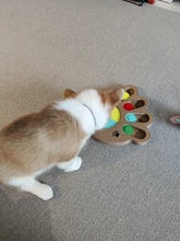 Toys Feeder Food-Intelligence-Toy Puppy Slow-Dispensing Dog-Puzzle Training-Games Interactive