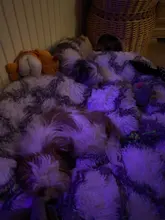 22 Colors Dog Bed House For Cats Round Puppy Kennel Fluffy Plush Cushion Soft Sofa Sleeping