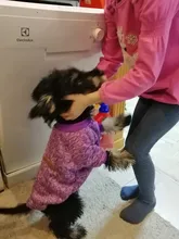 Clothing Sweater Pet-Outfit Small Dogs Classic Soft Winter For Dog Chihuahua Ropa Perro