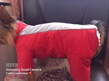 Winter Overalls for Dogs Warm Waterproof Pet Jumpsuit Trousers Male/ Female Dog Reflective