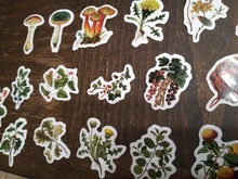 46 unids/caja Retro serie de bosques planta de decoración pegatinas planificador Scrapbooking papelería coreana pegatinas diario