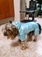 Ropa de invierno para perros pequeños, abrigo cálido para cachorros, chaqueta impermeable con capucha, monos para Chihuahua y Yorkie