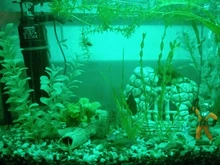 Aquarium Lighting Lamp Submersible-Light Fish-Tank Underwater 24-54CM