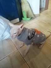 Antumn-ropa de invierno para gatos abrigo de suéter Katten para perros, disfraz de gato para perros pequeños, Chihuahua, Pugs, Bulldog francés