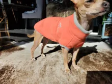 Coat-Jackets Fleece Vest Pug-Costumes Dogs French-Bulldog Chihuahua Winter Small Medium