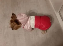 Outfit Jacket Hoodie Dog Warm Waterproof Winter Coat Splice Pet-Puppy 6-Colours 8-Sizes