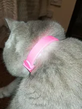 Pet-Collar Necklace Repel Flea Pest-Control-Protect Killer Adjustable for And Rubber