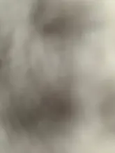 Kitchen-Rack Stainless-Steel Wall-Mounted Pot Perforated-Seasoning Free