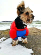 Coat Jacket Puppy Pet-Dog French Bulldog Small Dogs Waterproof Winter Super Cotton 