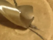 Broca giratoria de mango recto de cobalto, alta calidad, hss-co M35, Accesorios de herramientas eléctricas para perforación de Metal y acero inoxidable