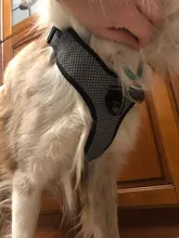 Pet-Harness Truelove Walk Padded Seat-Belt Handle Reflective-Dog Adjustable Small Soft