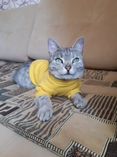 Ropa de perro de moda ropa de invierno para perros pequeños perros mediano chaqueta de abrigo Chihuahua ropa para mascotas para pequeño mediano perros Carlino