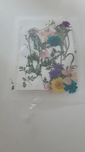 Pegatinas de flores naturales de resina UV para decoración de joyas, adhesivos de belleza seca para Resina epoxi DIY, 1 paquete