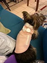 Ropa de invierno para perros, chaquetas de ante, chaleco polar cálido, pequeño abrigo de perro, motocicleta, abrigo, ropa, abrigos para mascotas