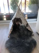 Jaula lavable para mascotas, tienda de campaña para perros, gatos, animales pequeños, tienda para mascotas, jaula transpirable lavable