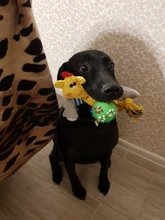 Juguetes Para Perros y Gatos de peluche, con sonido divertido, forro polar, durabilidad, juguete Molar, elefante, pato, cerdo, juguetes interactivos