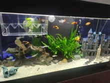 Boxes Hatching-Incubator Tanks Betta Isolation Acrylic Aquarium Fish-Tank-At001 Fish-Breeding