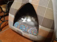 10/50/100 Uds máscara ce certificado desechables para adultos ffp2reutilizable mascherine KN95 Mascarillas máscara facial y para la boca de las máscaras de protección