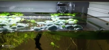 Filtro externo para acuario, bomba de agua, fabricante de cascada, máquina de configuración de oxígeno, superaccesorios