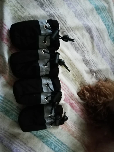Small Dog Boots | Small Dog Winter Boots | Dog Boots for Small Dogs photo review