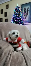 Christmas Pet Dog Cat Costumes Funny Santa Claus Costume For Dogs Cats Winter Warm Dog