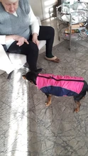 Coat Pet-Dog-Jacket Dogs French Bulldog Waterproof Chihuahua Winter Puppy-Vest Small