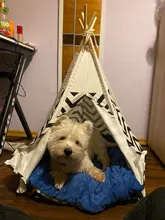 Tipi de Gato con cojín y pizarra para perros, carpa portátil para perros y casas de mascotas, tienda plegable de lona de madera para mascotas, cama para animales pequeños