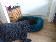 Cat Nest House Bed-Basket Sleeping-Mat Square Plush-Calming Cozy Dogs Warm Small Large