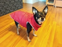 Ropa de invierno cálida para perros, chaleco reflectante para cachorros, chaqueta polar cómoda para mascotas, abrigo para perros pequeños, medianos y grandes, 2020